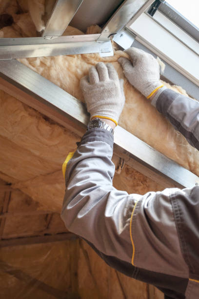 Best Basement Insulation  in USA